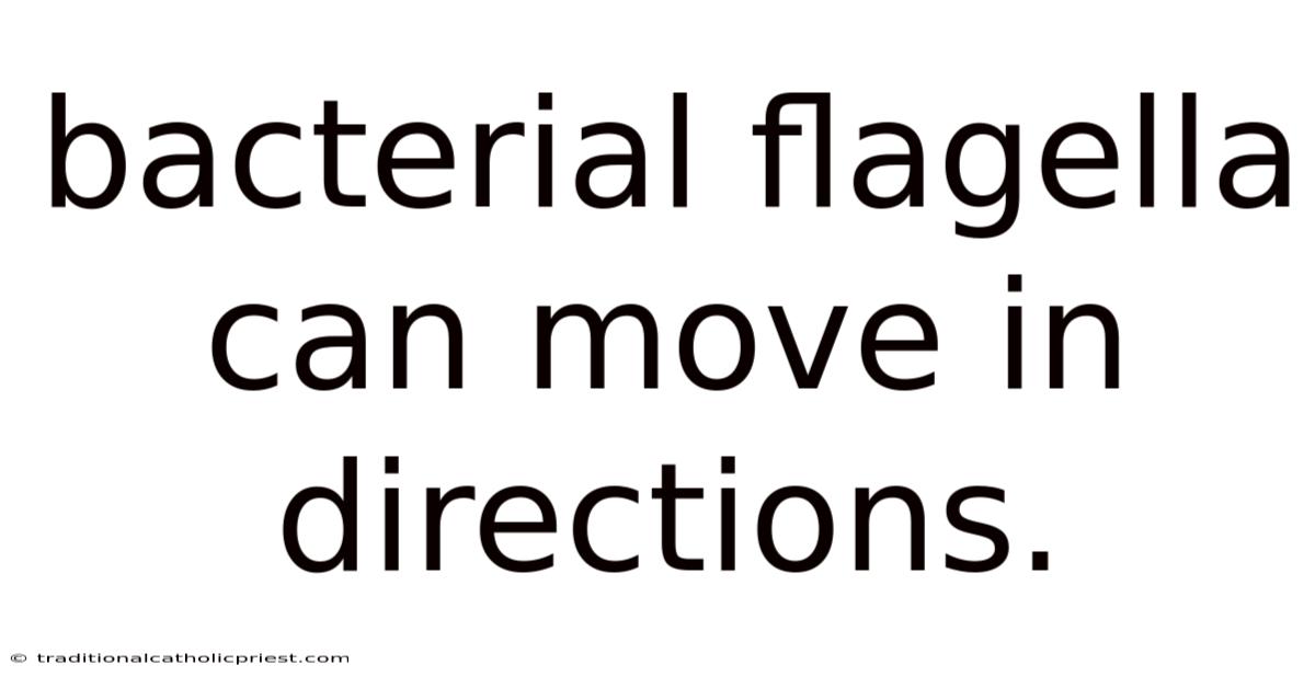 Bacterial Flagella Can Move In Directions.