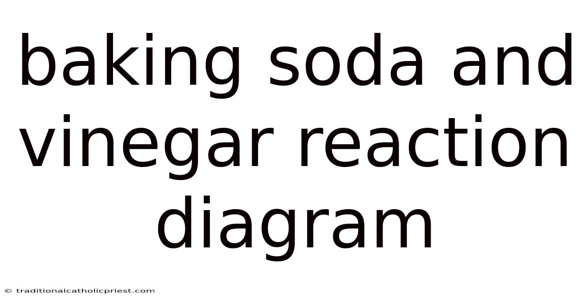 Baking Soda And Vinegar Reaction Diagram