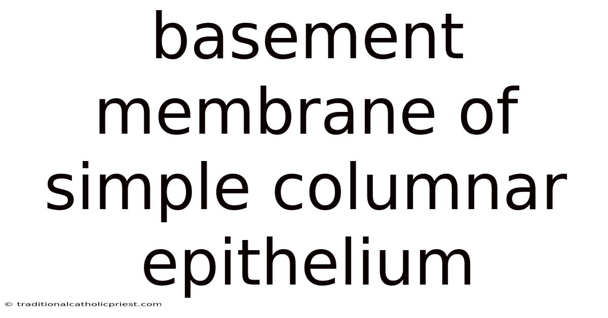 Basement Membrane Of Simple Columnar Epithelium