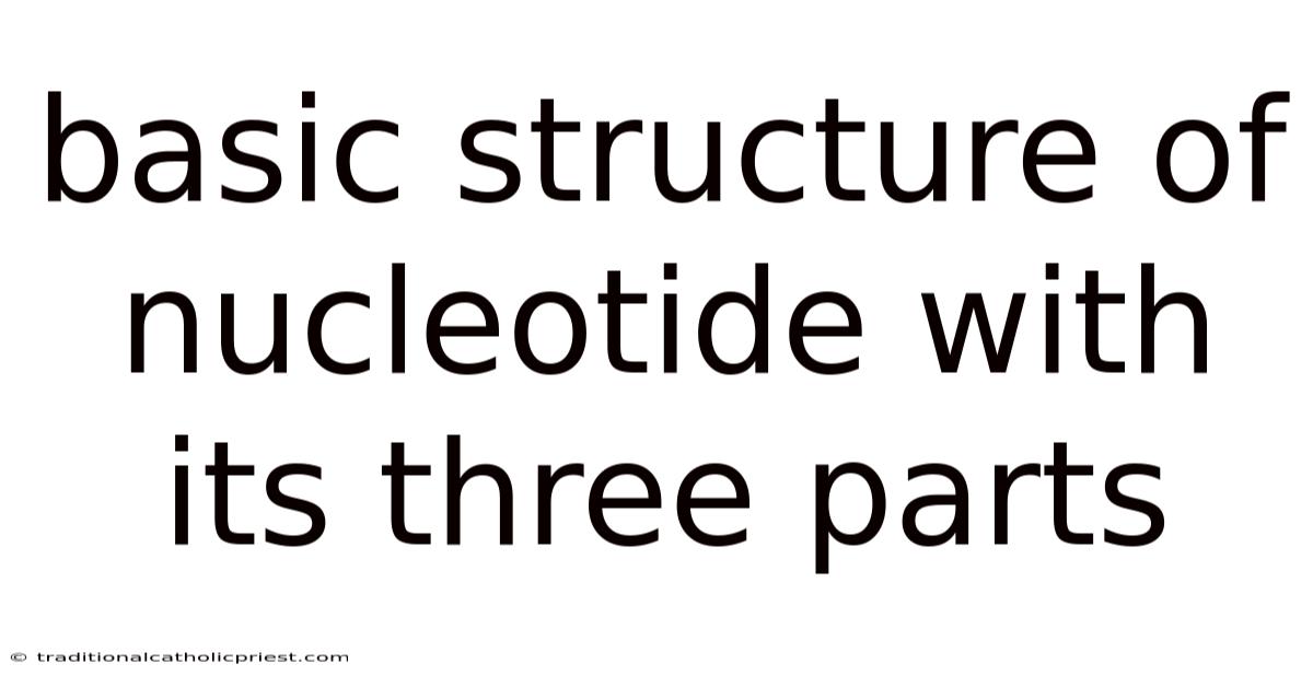 Basic Structure Of Nucleotide With Its Three Parts