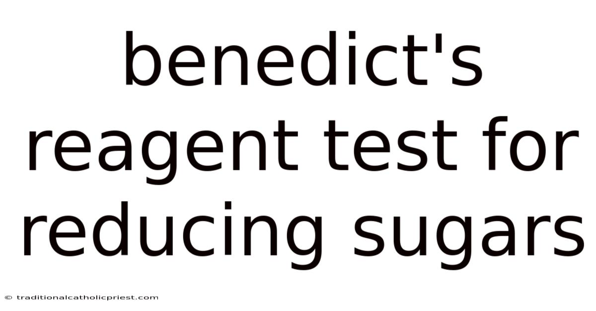 Benedict's Reagent Test For Reducing Sugars