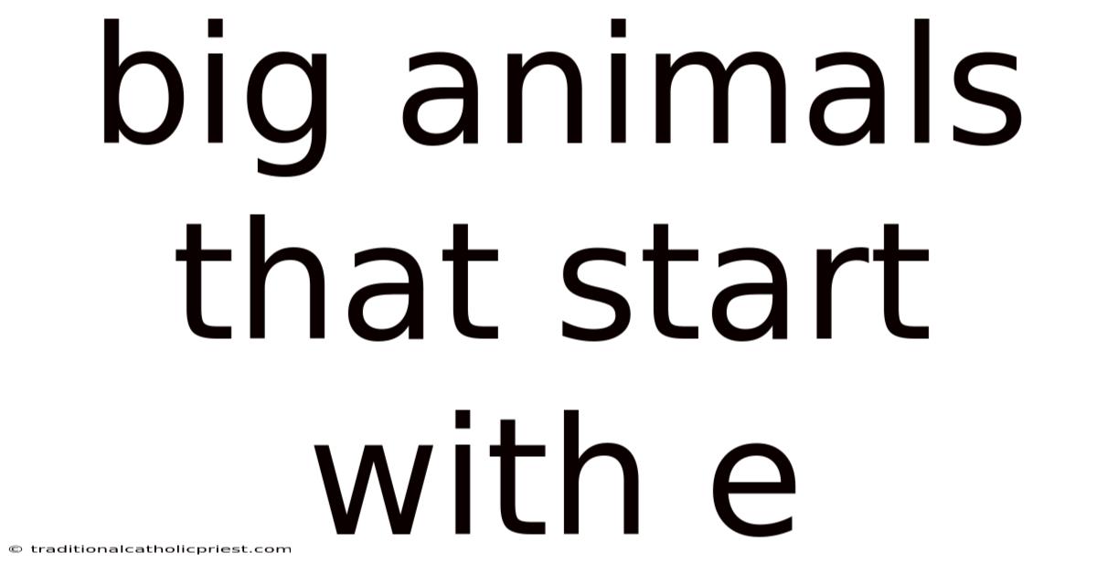 Big Animals That Start With E
