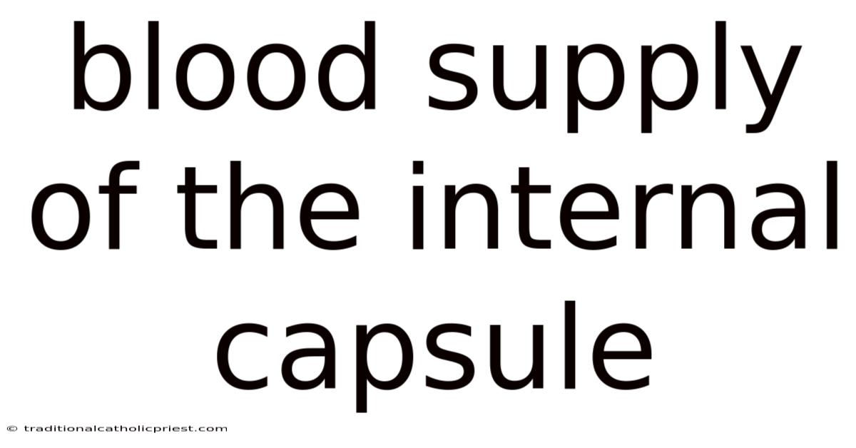 Blood Supply Of The Internal Capsule