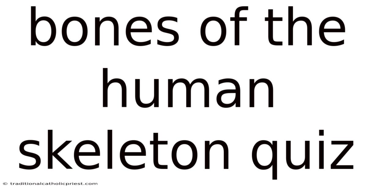 Bones Of The Human Skeleton Quiz