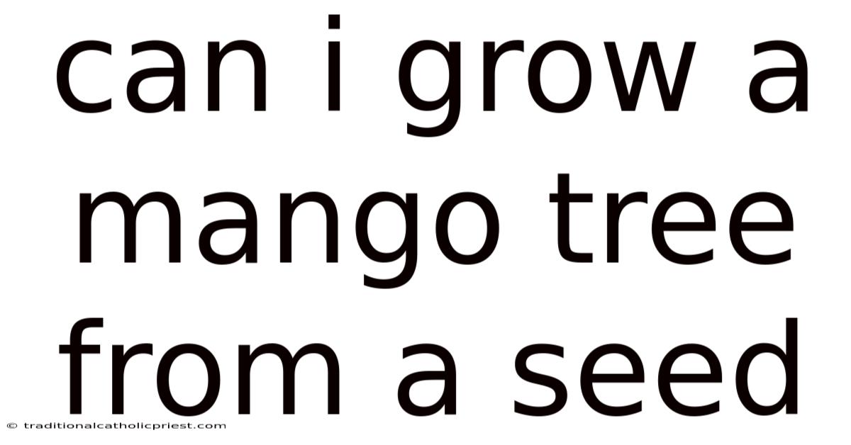 Can I Grow A Mango Tree From A Seed