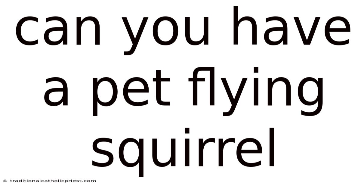 Can You Have A Pet Flying Squirrel
