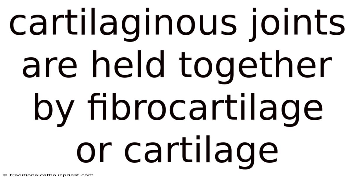Cartilaginous Joints Are Held Together By Fibrocartilage Or Cartilage