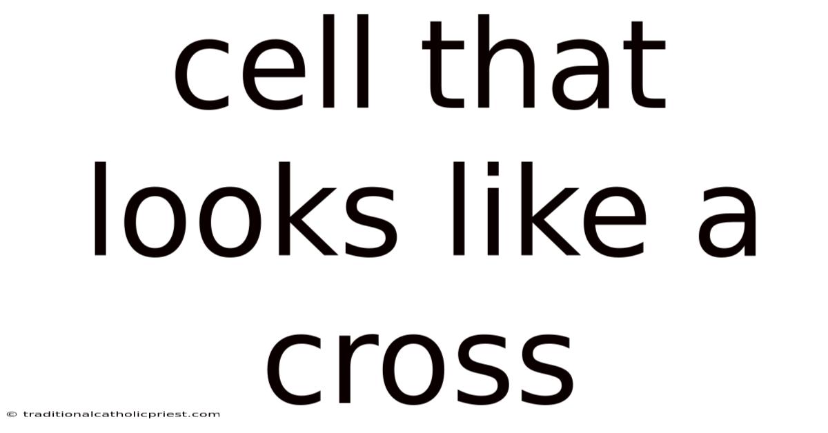 Cell That Looks Like A Cross