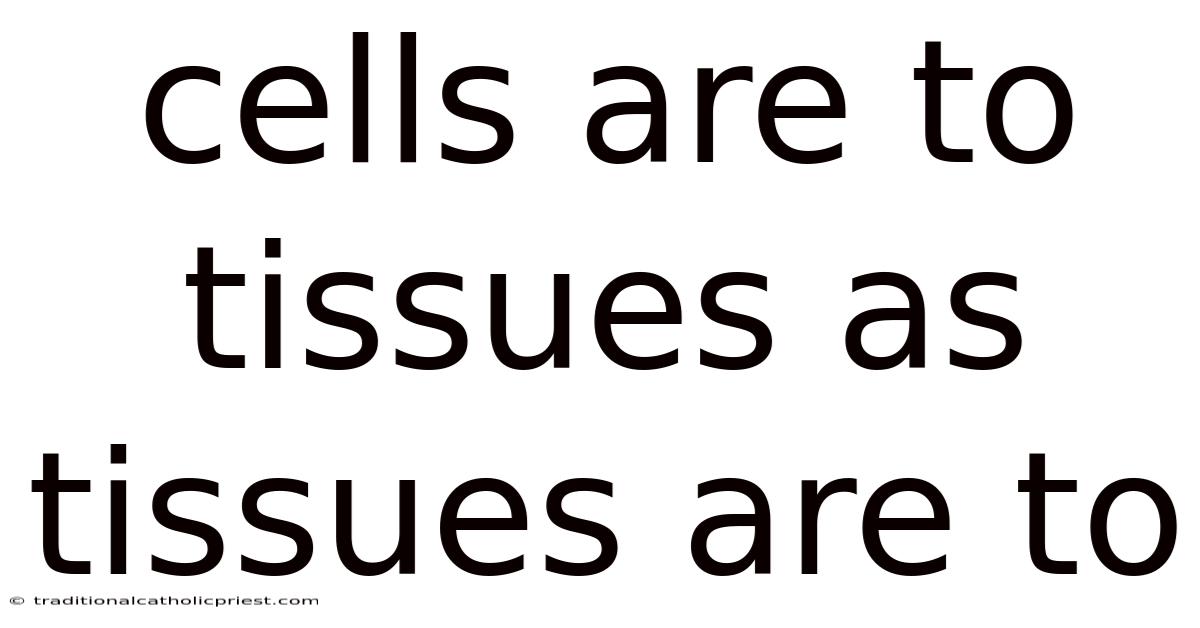 Cells Are To Tissues As Tissues Are To
