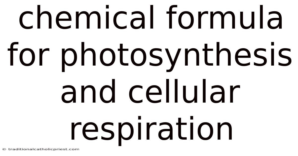 Chemical Formula For Photosynthesis And Cellular Respiration