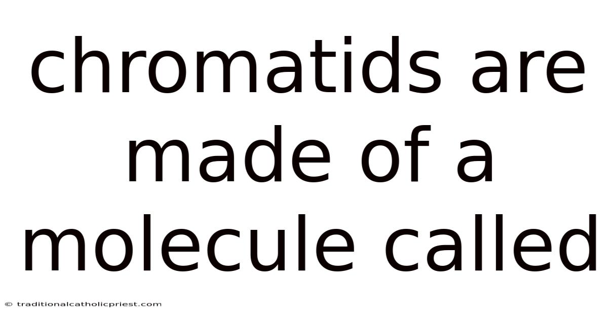 Chromatids Are Made Of A Molecule Called