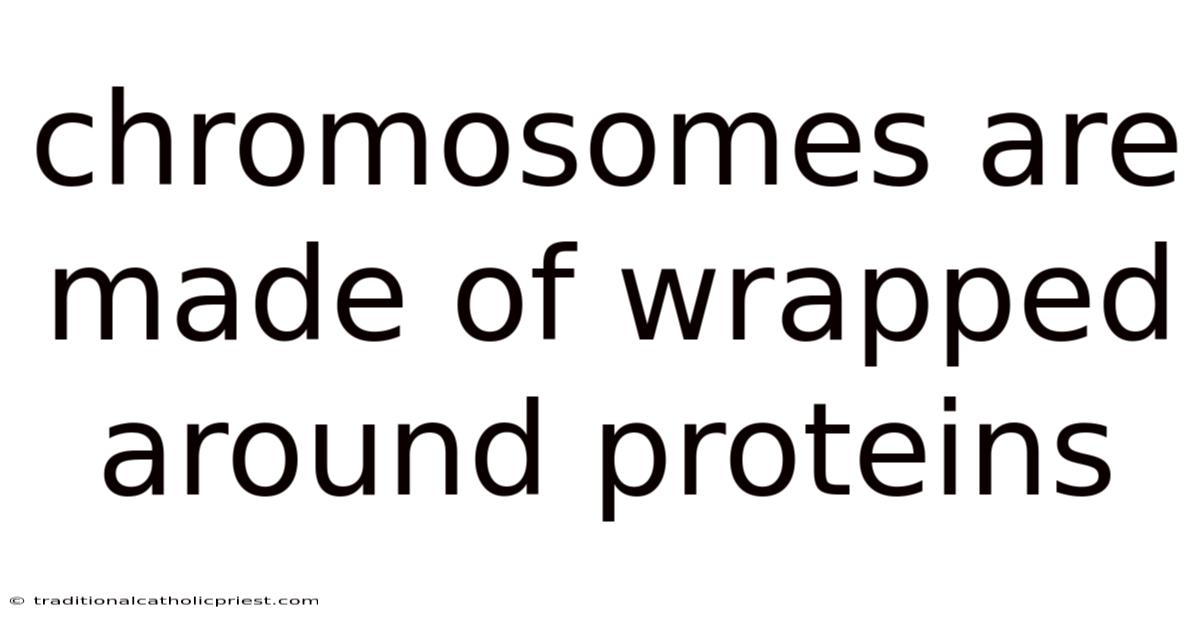 Chromosomes Are Made Of Wrapped Around Proteins