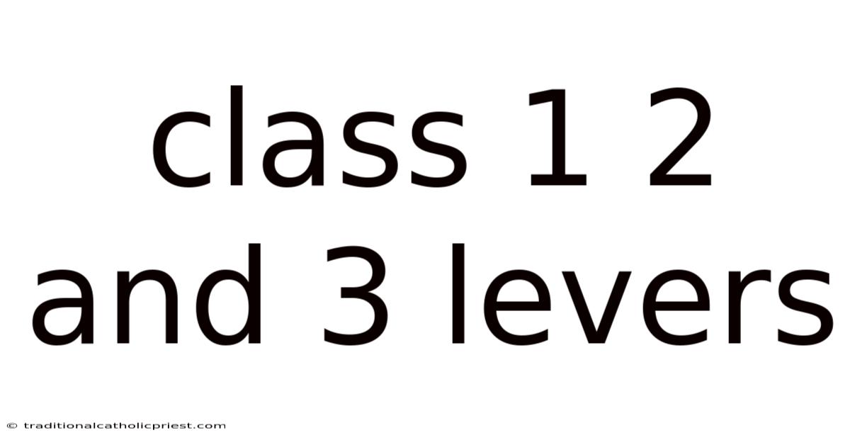 Class 1 2 And 3 Levers