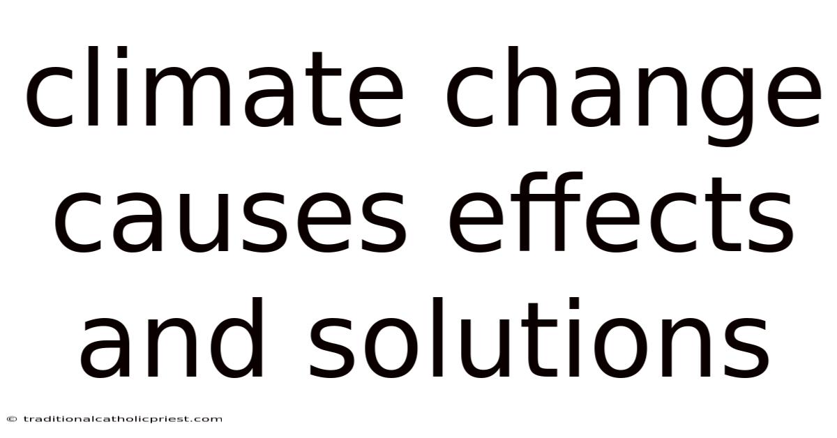 Climate Change Causes Effects And Solutions