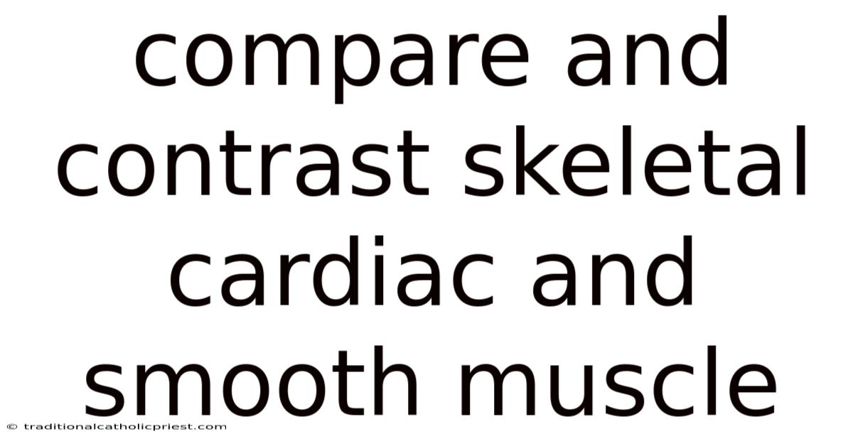 Compare And Contrast Skeletal Cardiac And Smooth Muscle