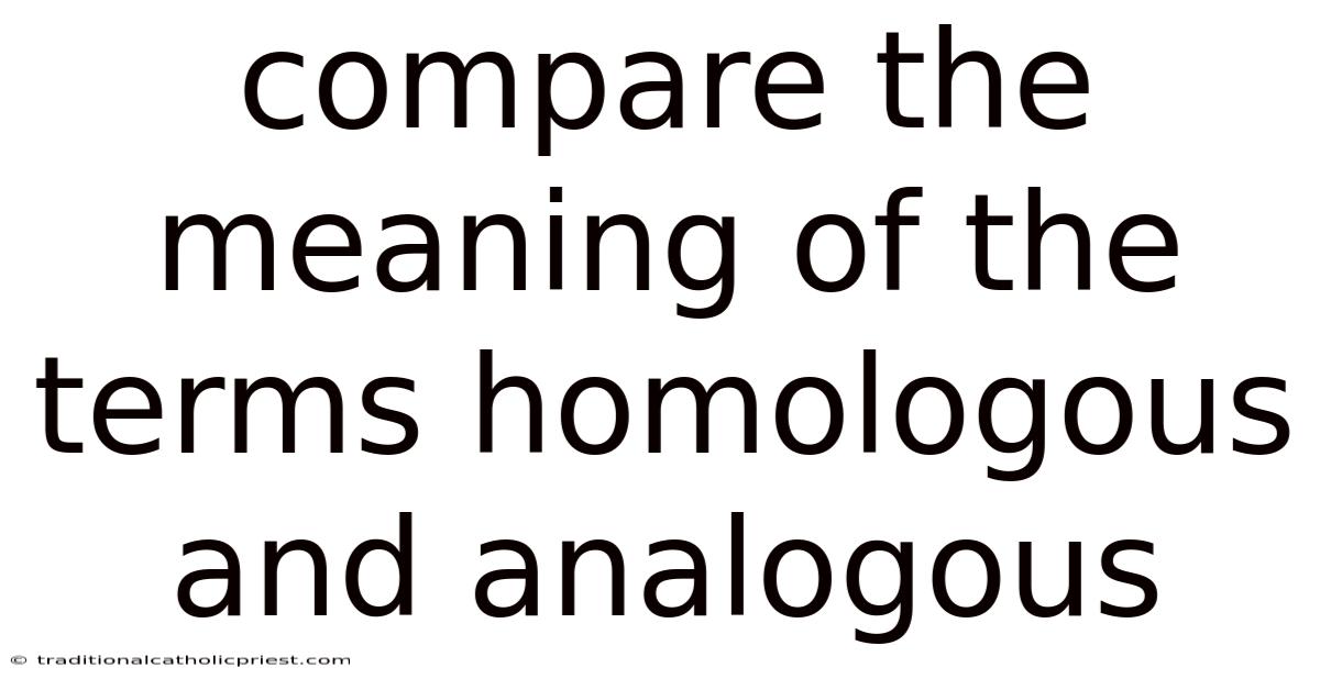 Compare The Meaning Of The Terms Homologous And Analogous