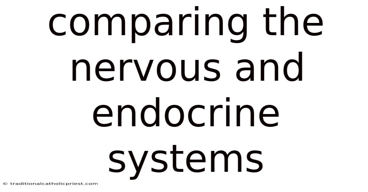 Comparing The Nervous And Endocrine Systems