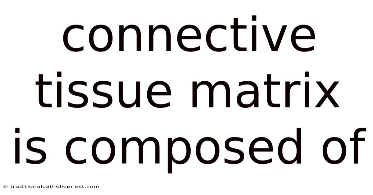 Connective Tissue Matrix Is Composed Of