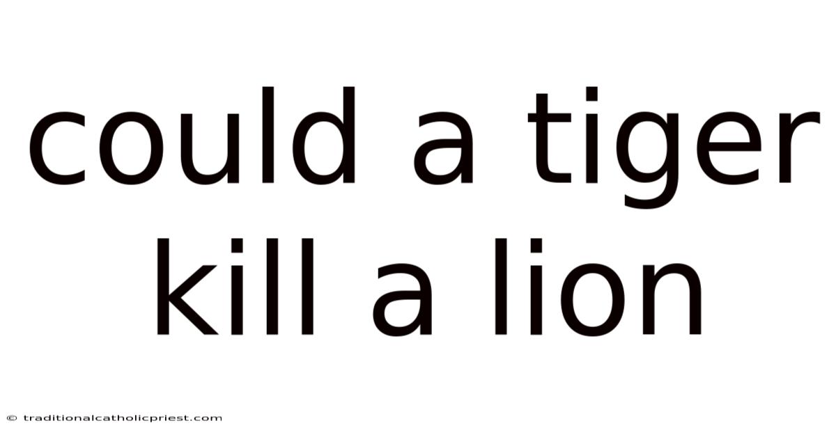 Could A Tiger Kill A Lion