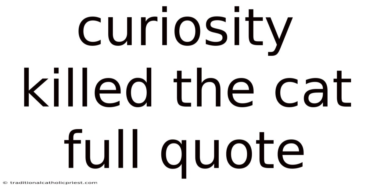 Curiosity Killed The Cat Full Quote