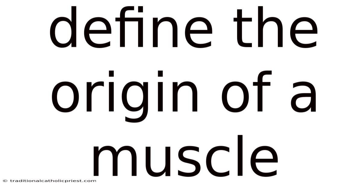 Define The Origin Of A Muscle