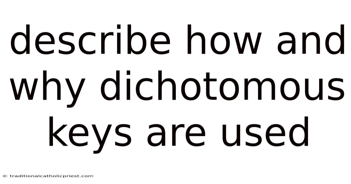Describe How And Why Dichotomous Keys Are Used