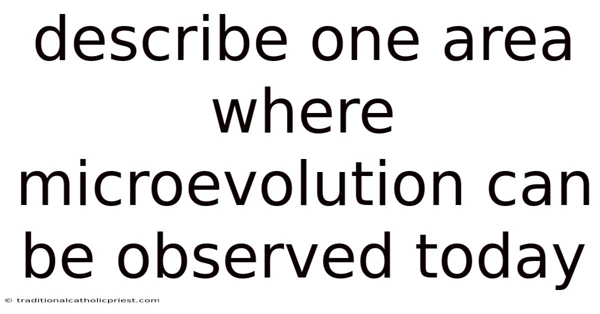 Describe One Area Where Microevolution Can Be Observed Today