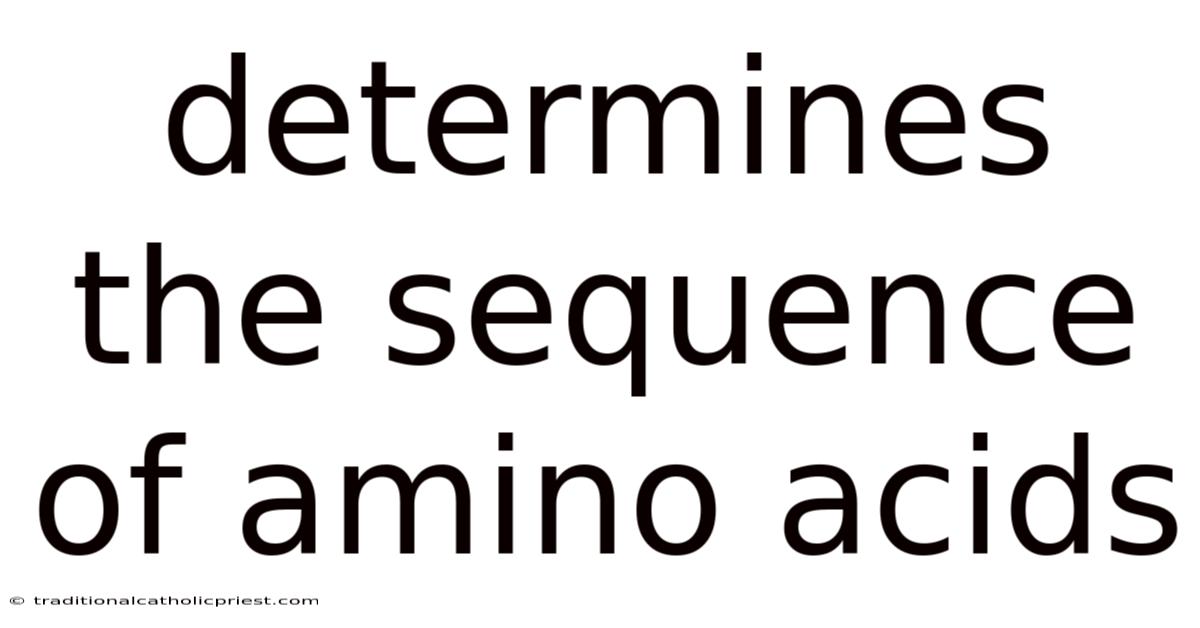Determines The Sequence Of Amino Acids