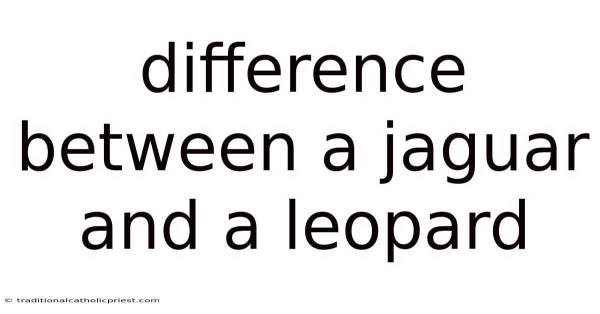 Difference Between A Jaguar And A Leopard