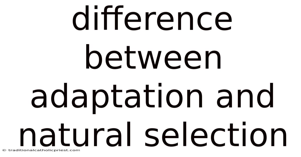 Difference Between Adaptation And Natural Selection
