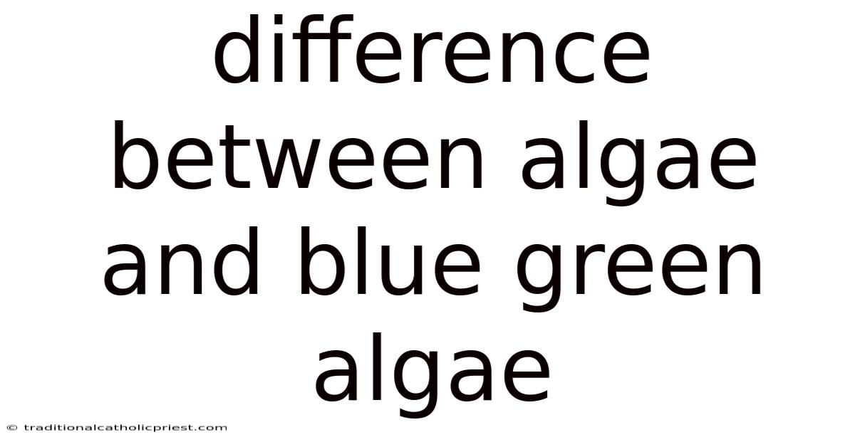 Difference Between Algae And Blue Green Algae