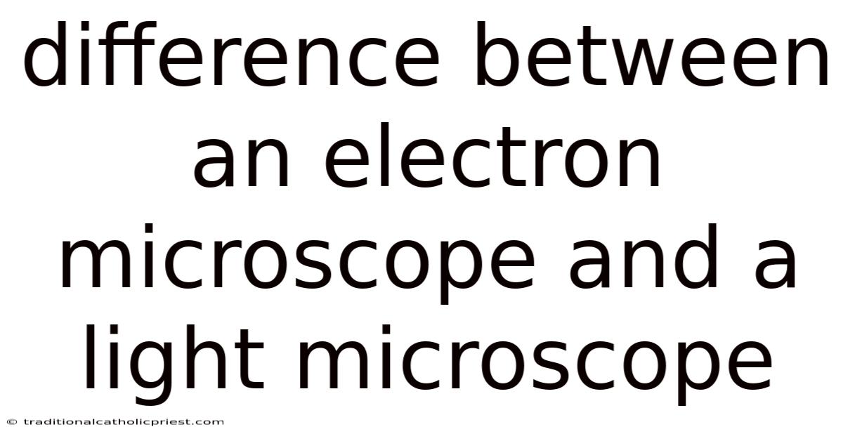 Difference Between An Electron Microscope And A Light Microscope