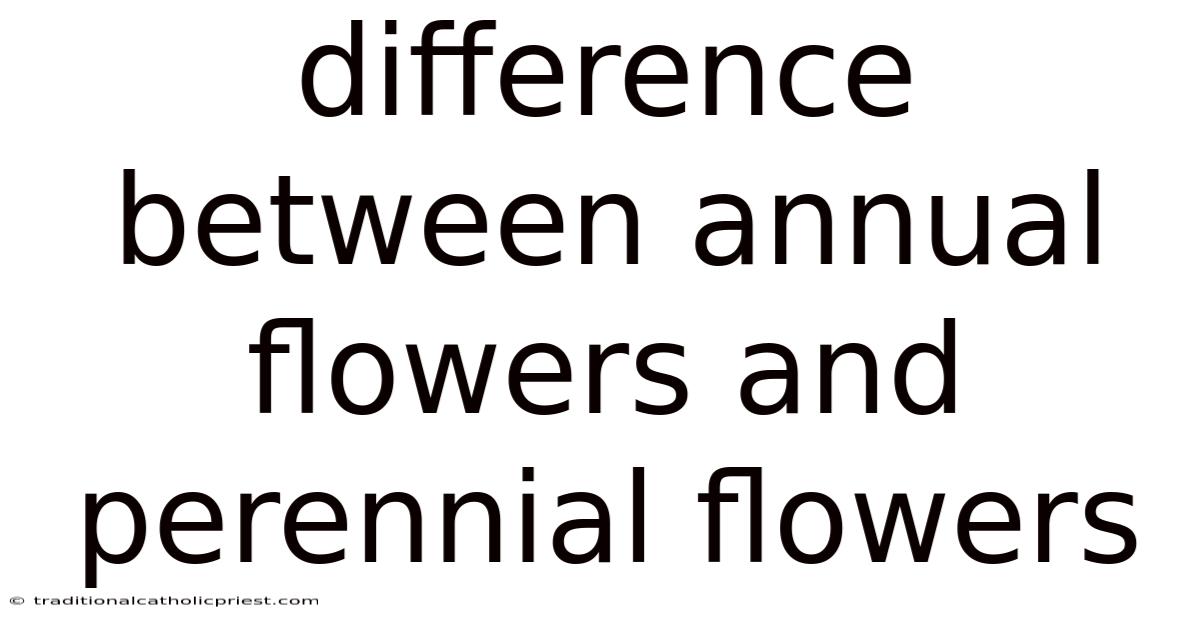 Difference Between Annual Flowers And Perennial Flowers