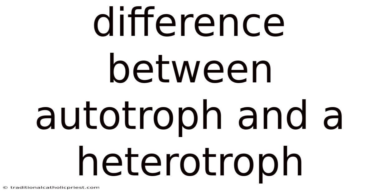 Difference Between Autotroph And A Heterotroph
