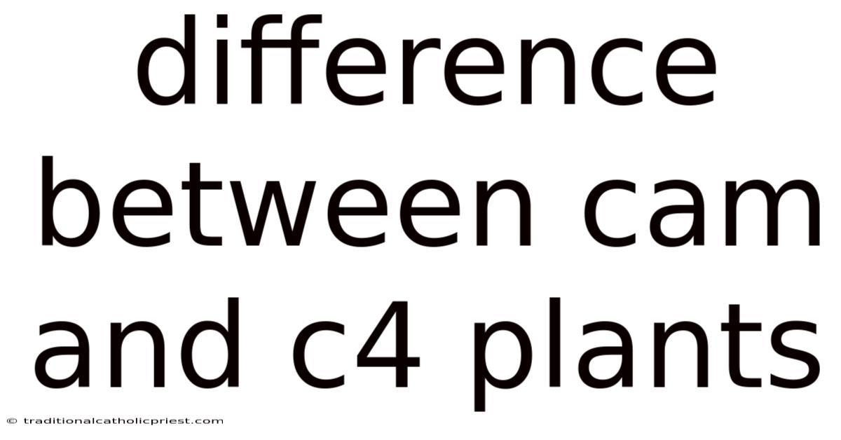 Difference Between Cam And C4 Plants