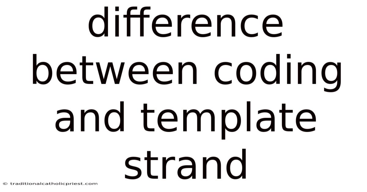 Difference Between Coding And Template Strand