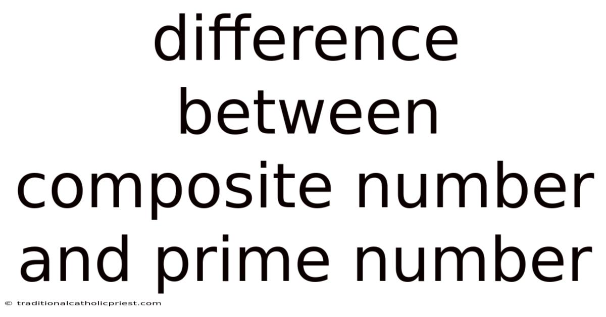 Difference Between Composite Number And Prime Number