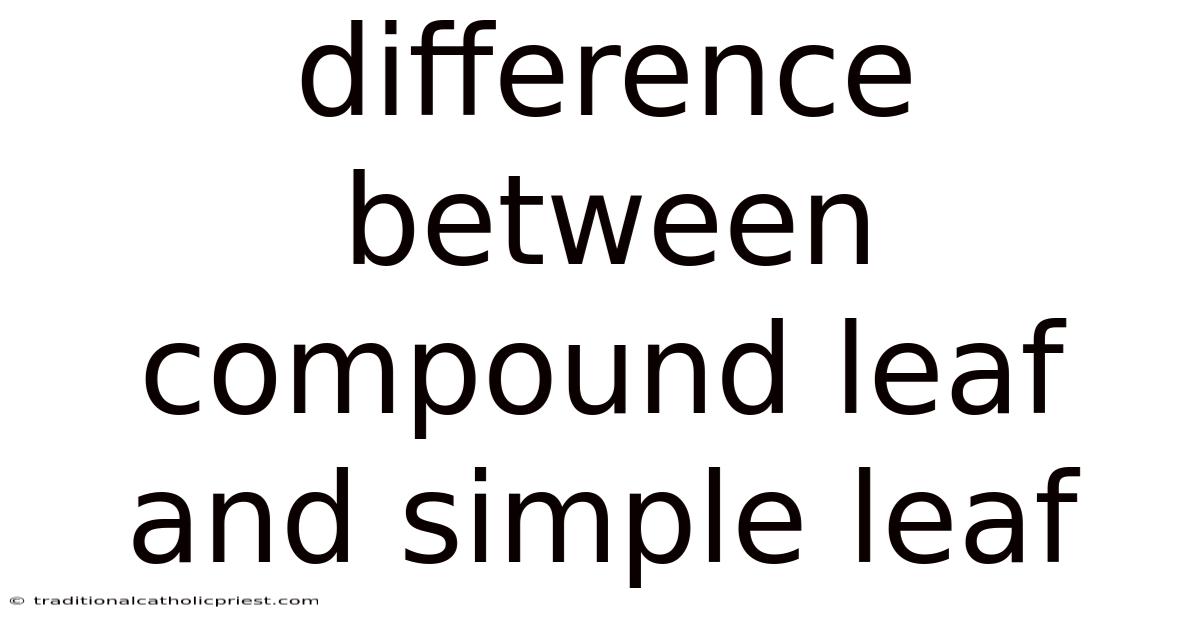 Difference Between Compound Leaf And Simple Leaf