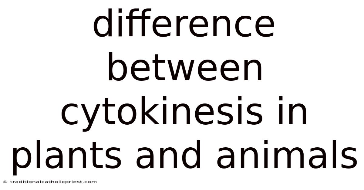 Difference Between Cytokinesis In Plants And Animals