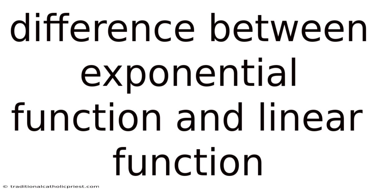 Difference Between Exponential Function And Linear Function
