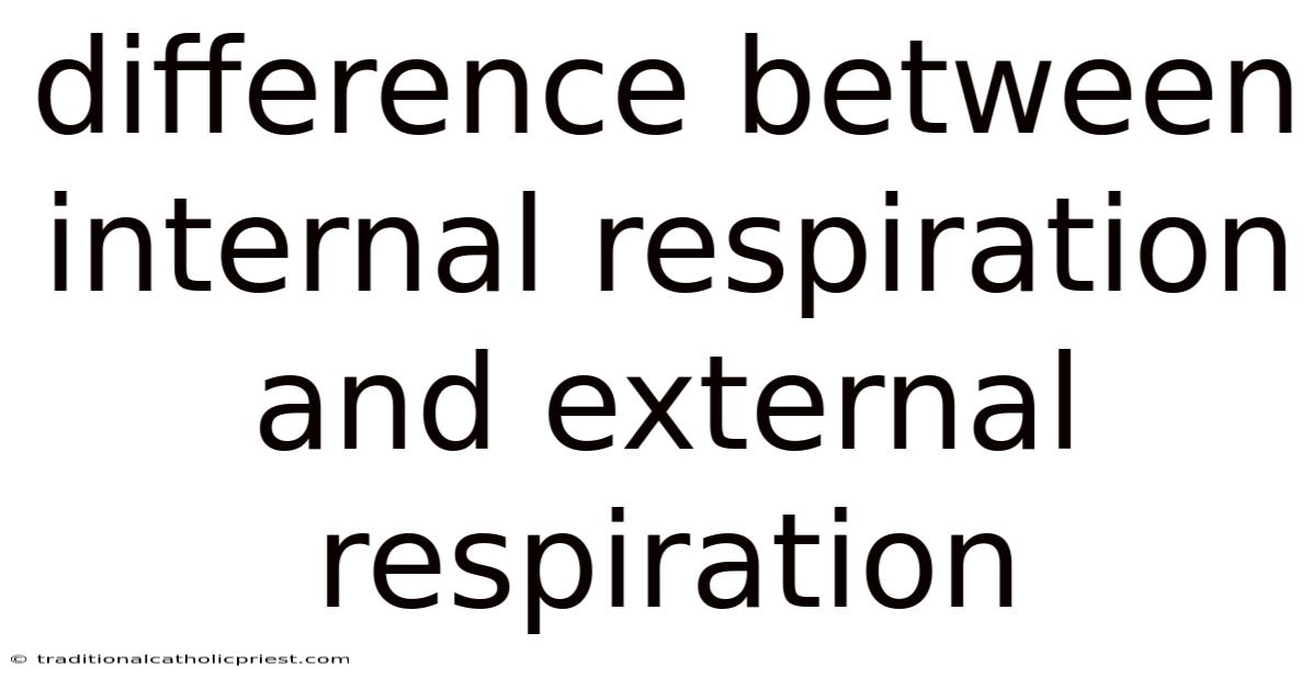 Difference Between Internal Respiration And External Respiration