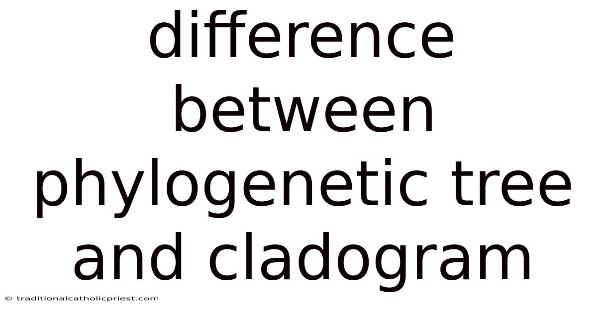 Difference Between Phylogenetic Tree And Cladogram