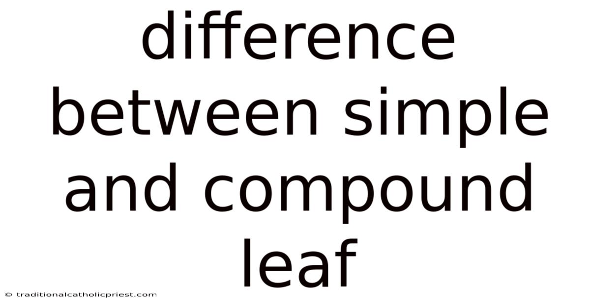 Difference Between Simple And Compound Leaf