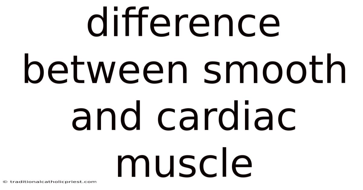 Difference Between Smooth And Cardiac Muscle
