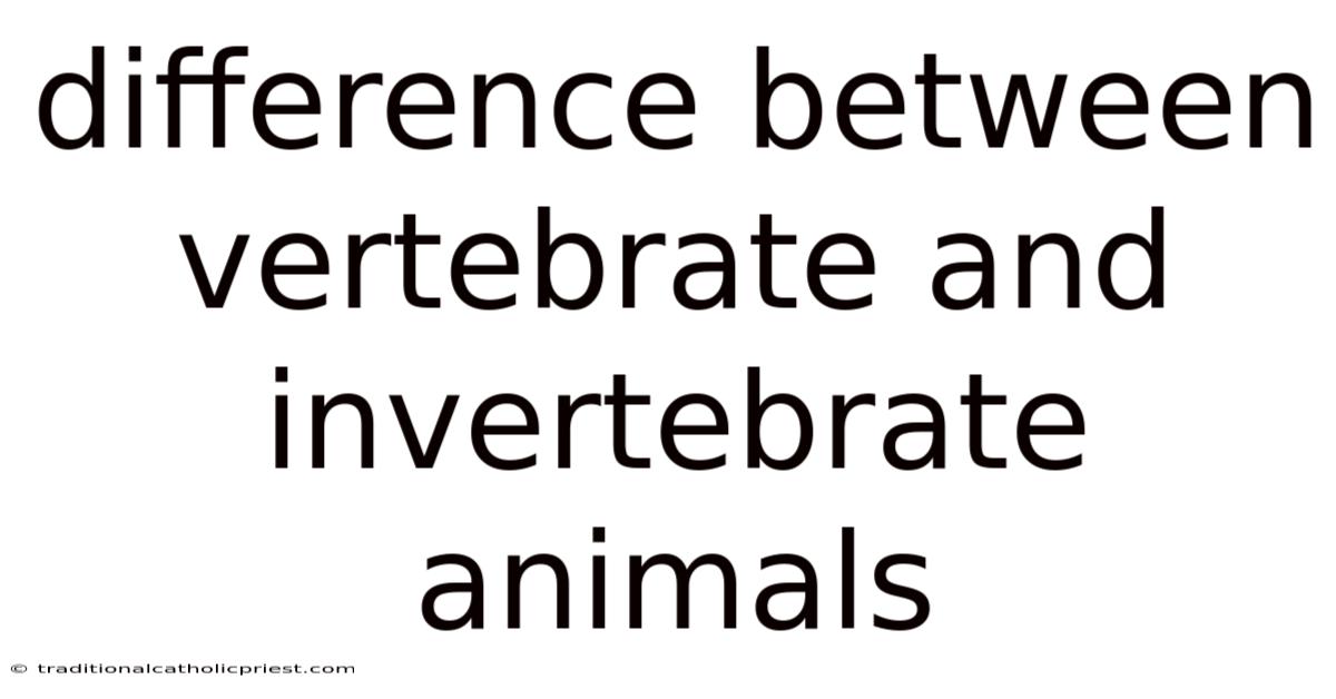 Difference Between Vertebrate And Invertebrate Animals