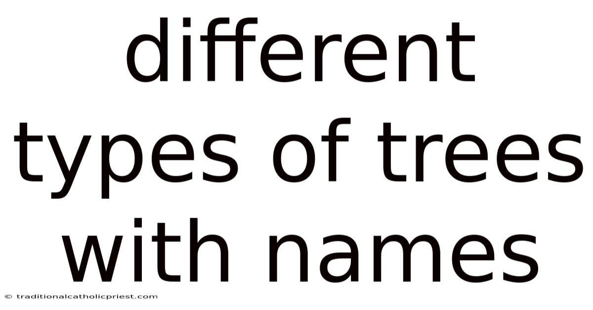 Different Types Of Trees With Names