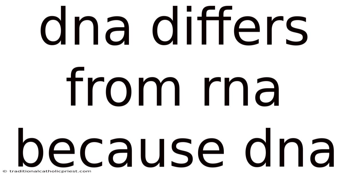 Dna Differs From Rna Because Dna