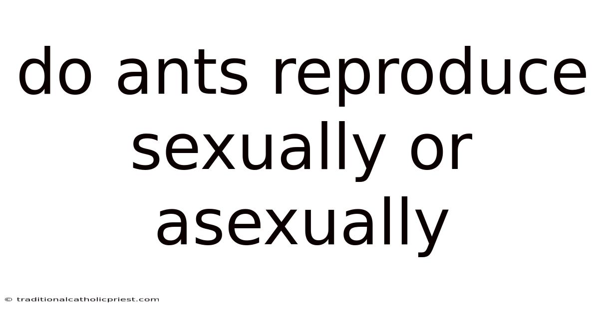 Do Ants Reproduce Sexually Or Asexually