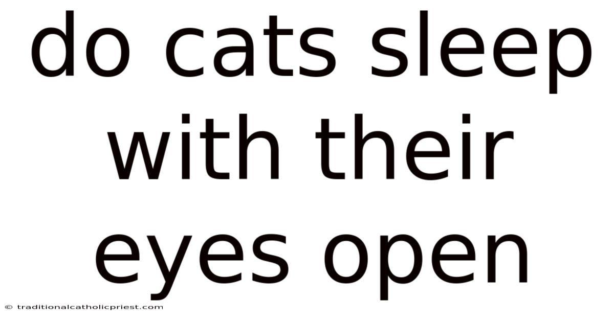 Do Cats Sleep With Their Eyes Open