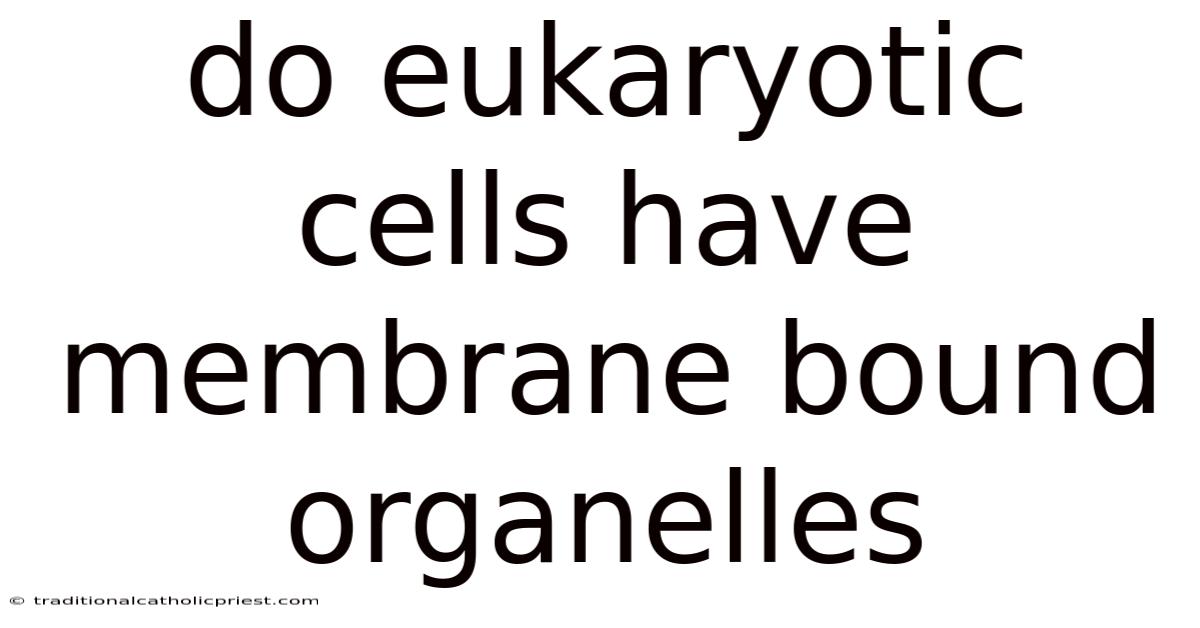 Do Eukaryotic Cells Have Membrane Bound Organelles